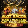 RTP Slot dan Volatilitas Game: Kunci Utama Memilih Game yang Tepat di Duniabet